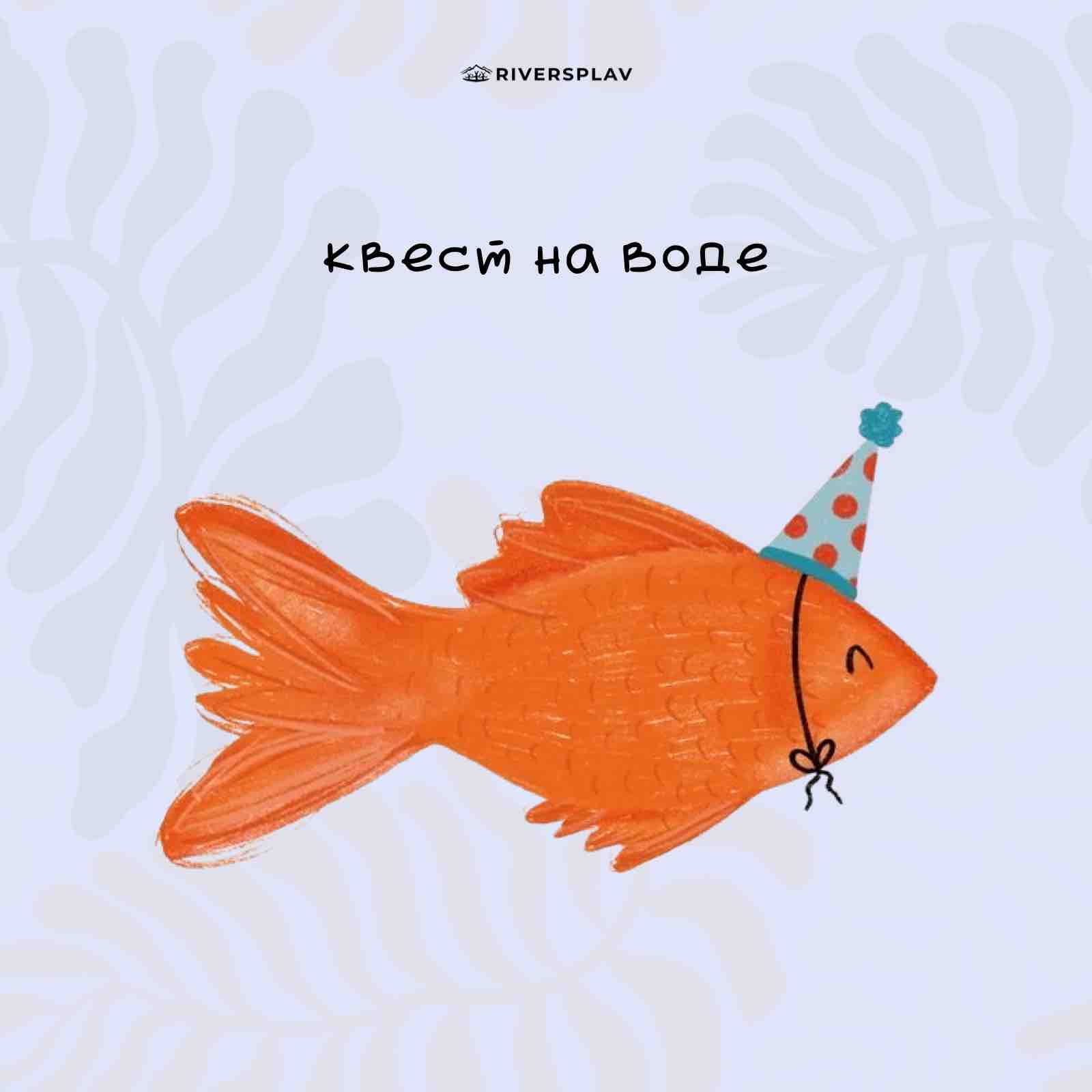 Сплавы на байдарках в Подмосковье