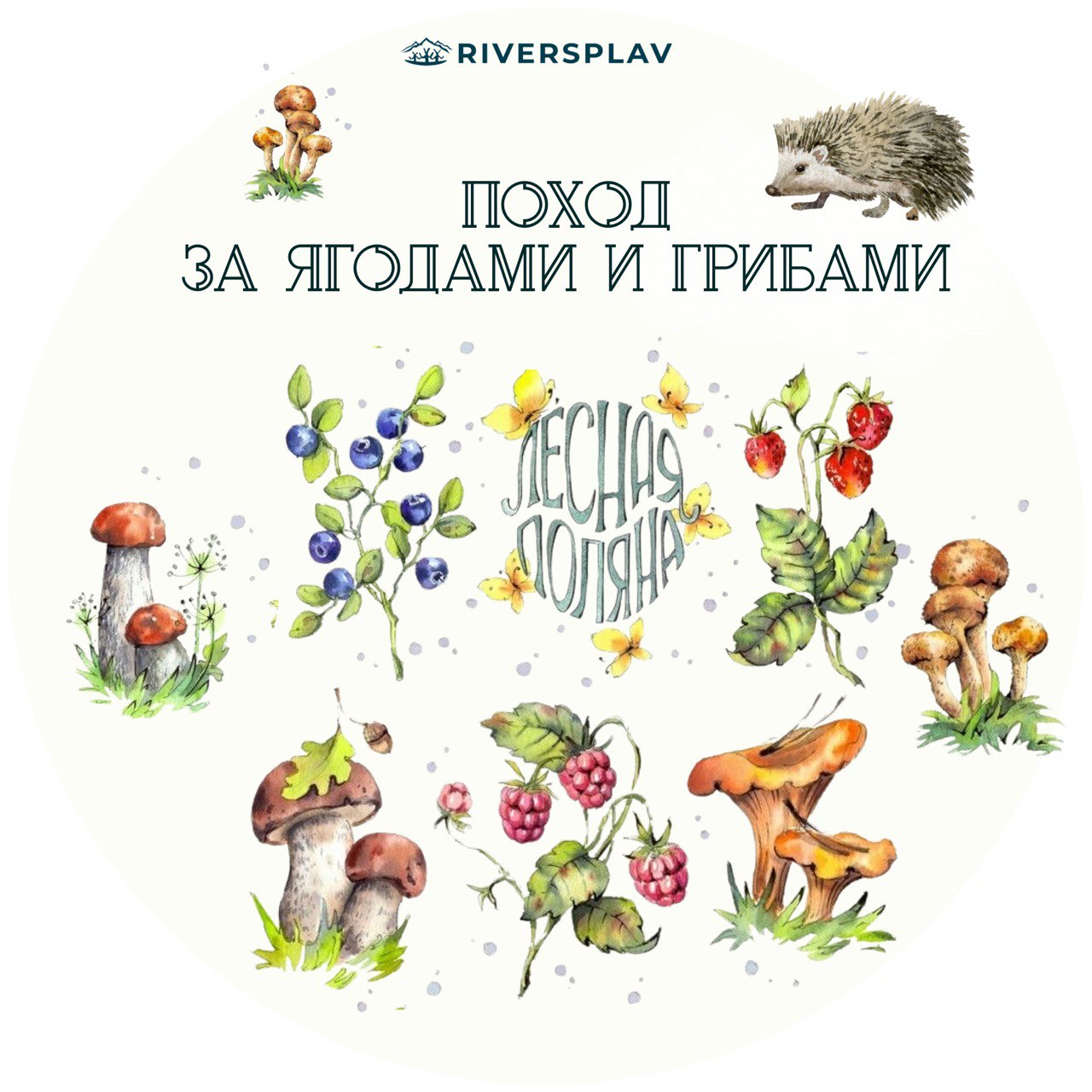 Сплав для закаленных мужчин