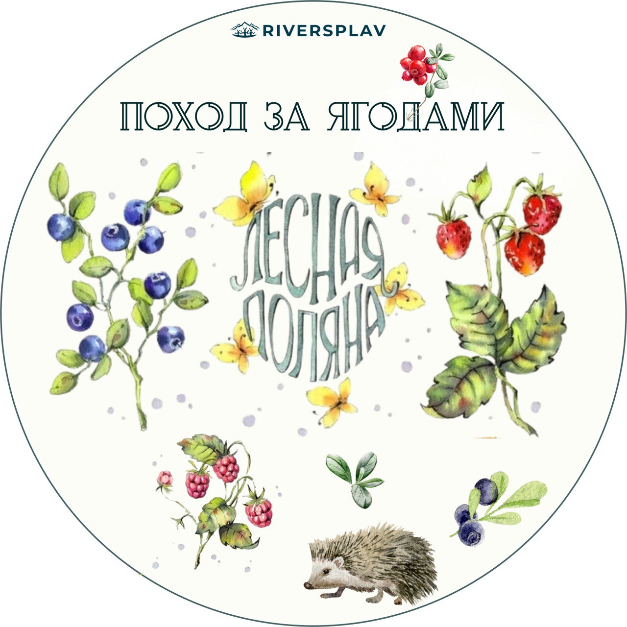 Сплав для закаленных мужчин